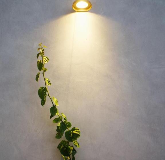 هتل Casa Da Djedja