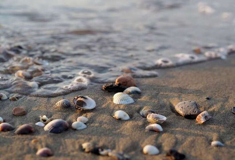 Enjoy Your Holiday In Our Pool   Beahost