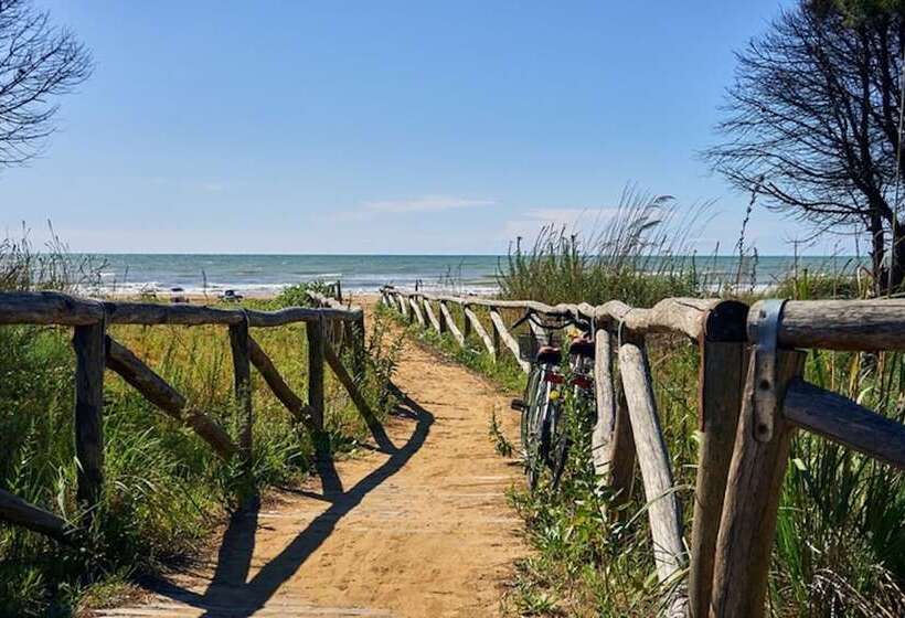 Enjoy Your Holiday In Our Pool Beahost