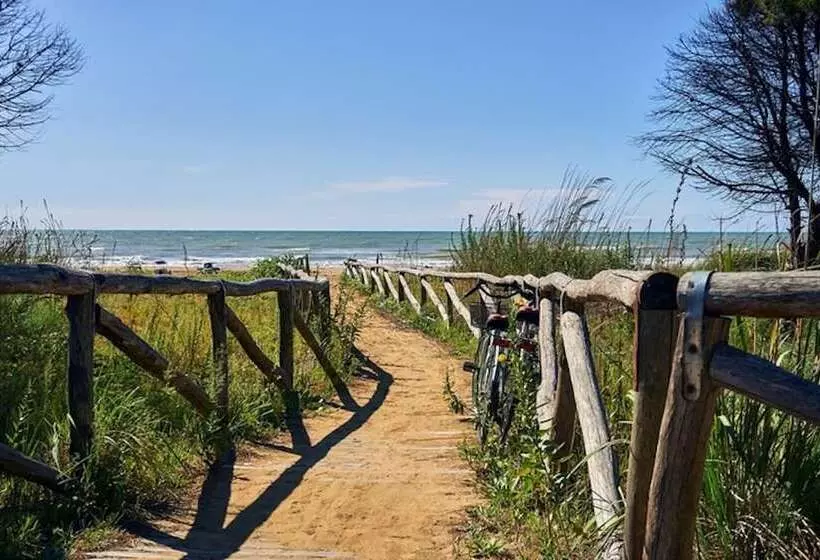 Enjoy Your Holiday In Our Pool   Beahost