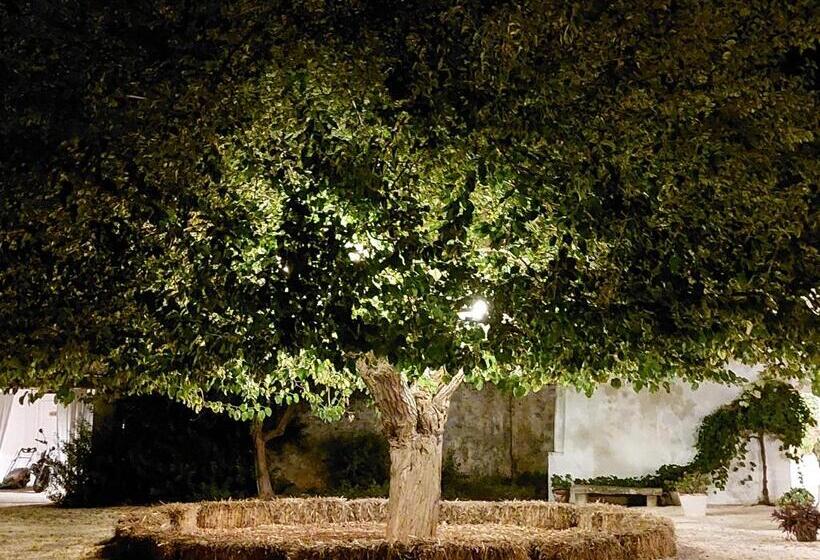 تختخواب و صبحانه Masseria San Martino