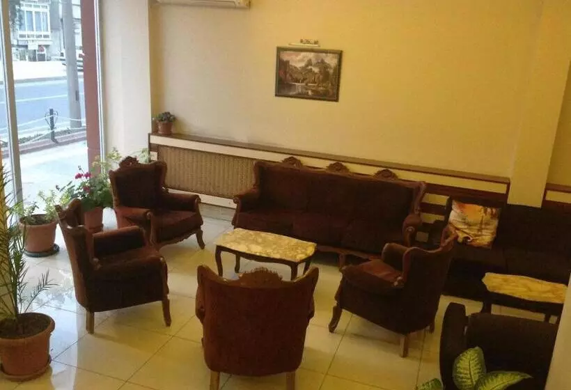 Hotel Isık