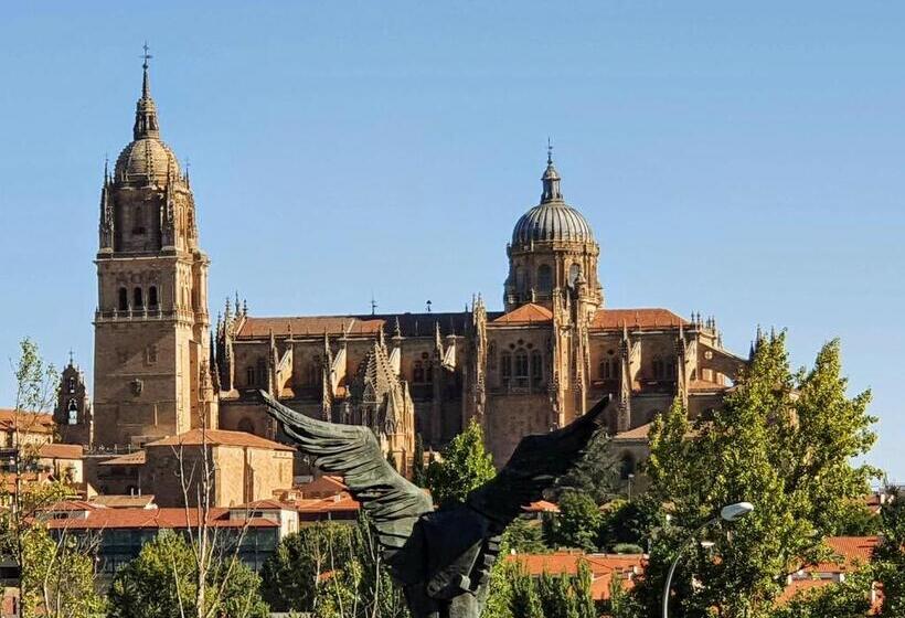 Las Mejores Vistas De Salamanca!!!