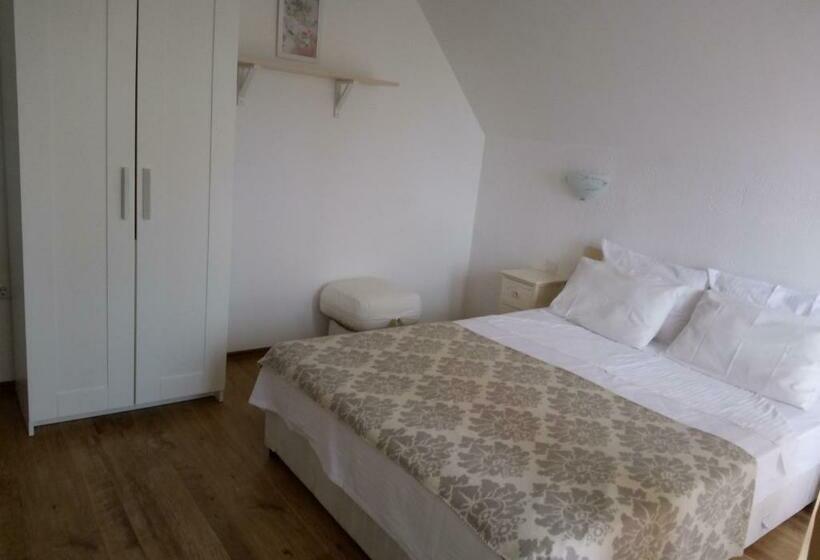 بنسيون Family Hotel Bellehouse