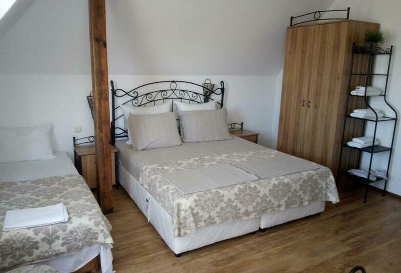 بنسيون Family Hotel Bellehouse