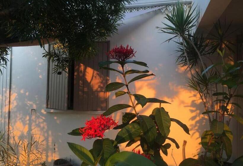 Villa Calme Et Confortable Avec Vue Océan