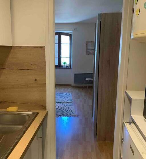 Aubenas Plein Centre Tout Près Du Château