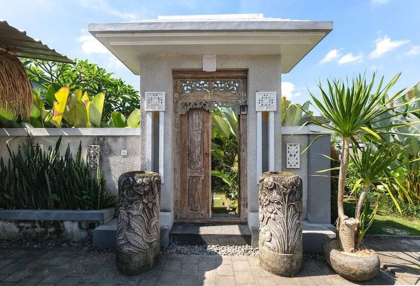 Fer Vio House Tumbak Bayuh