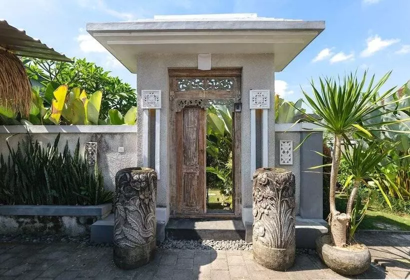 Fer Vio House Tumbak Bayuh