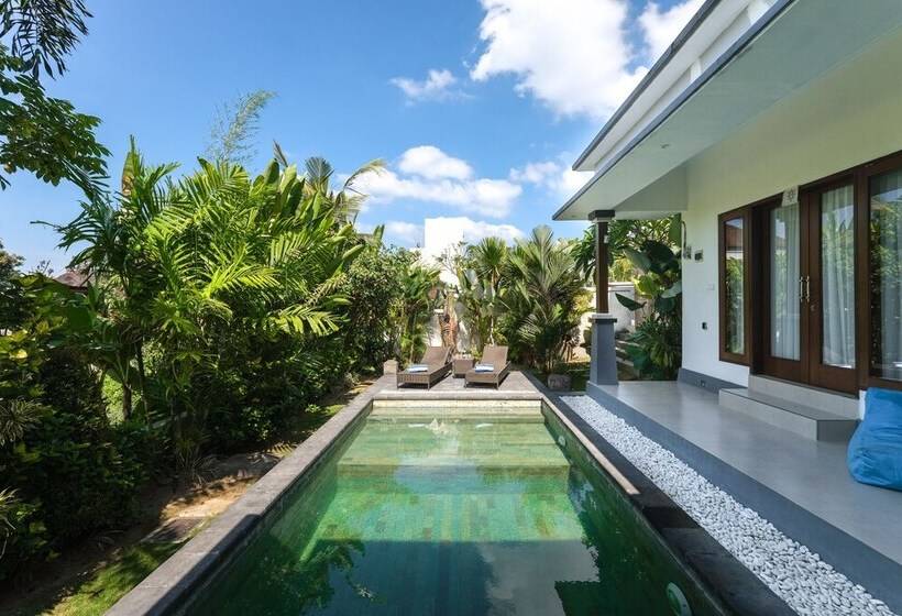 Fer Vio House Tumbak Bayuh