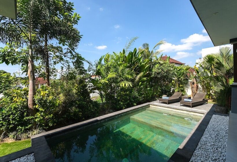 Fer Vio House Tumbak Bayuh