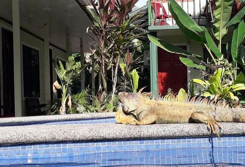 Miss Miriam Hotel Frente Al Mar