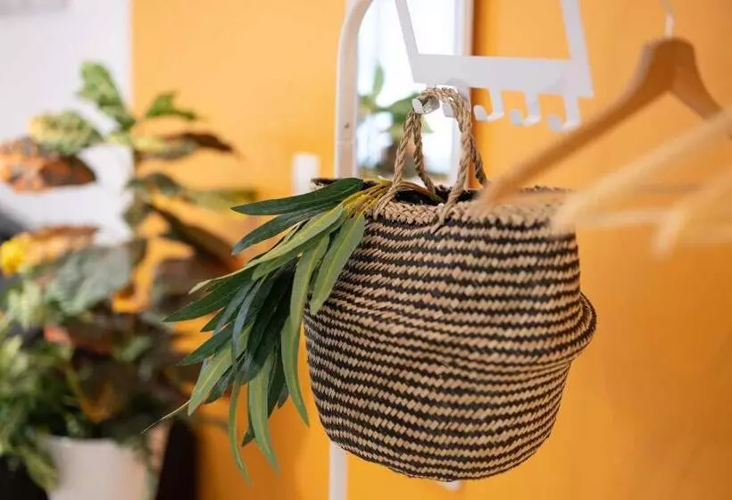 Les Franklins Appartements   Hyper Centre Mulhouse