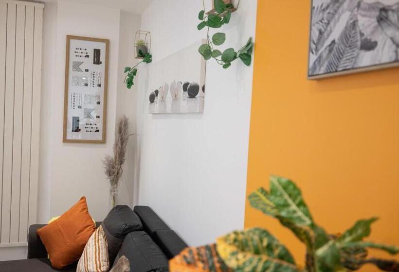 Les Franklins Appartements Hyper Centre Mulhouse