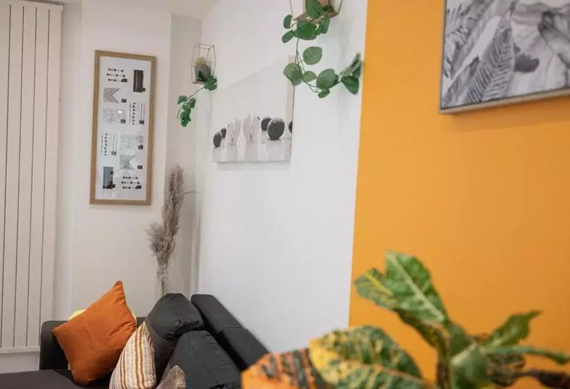 Les Franklins Appartements   Hyper Centre Mulhouse