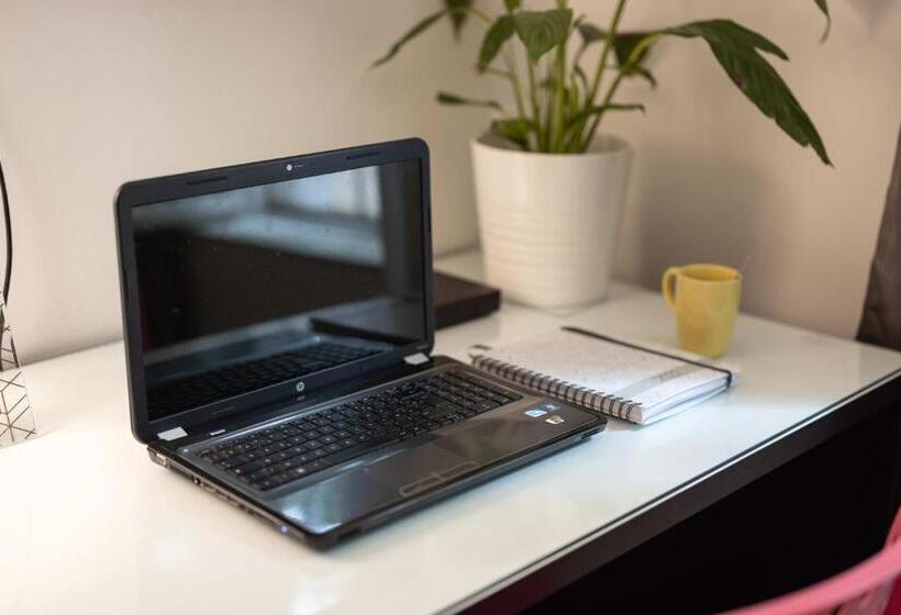 Les Franklins Appartements Hyper Centre Mulhouse