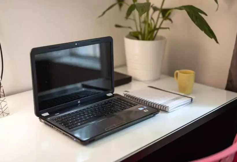 Les Franklins Appartements   Hyper Centre Mulhouse