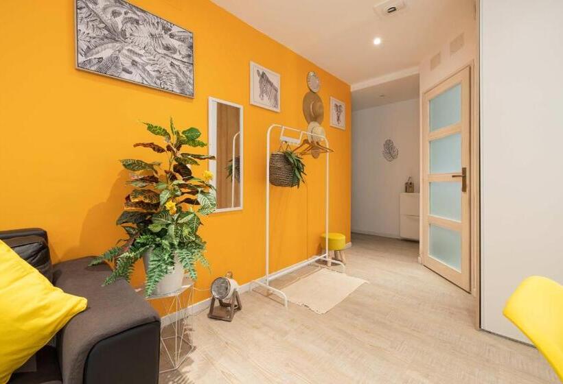 Les Franklins Appartements Hyper Centre Mulhouse