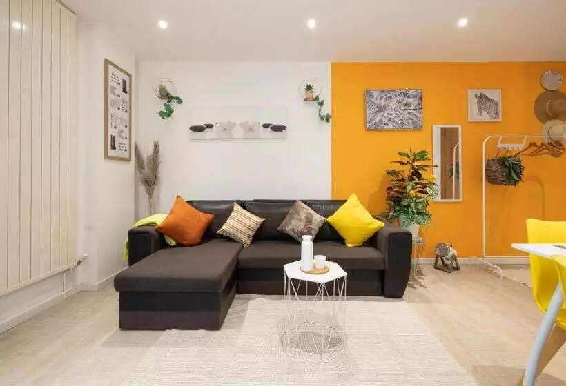 Les Franklins Appartements   Hyper Centre Mulhouse