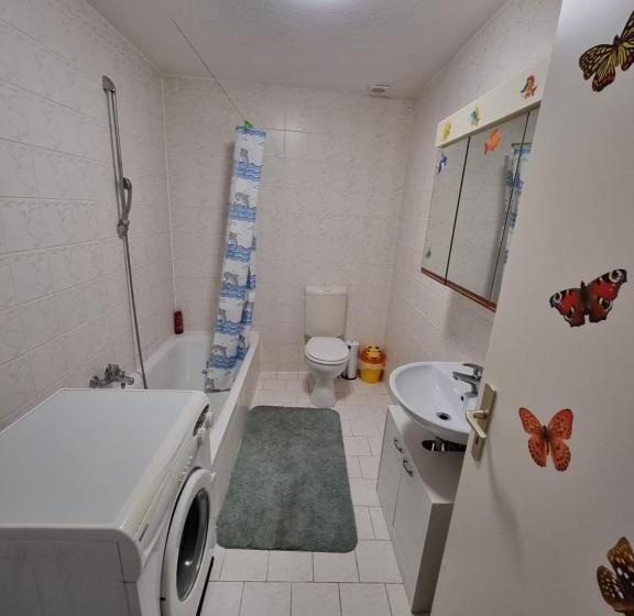 Monteurwohnung App 5