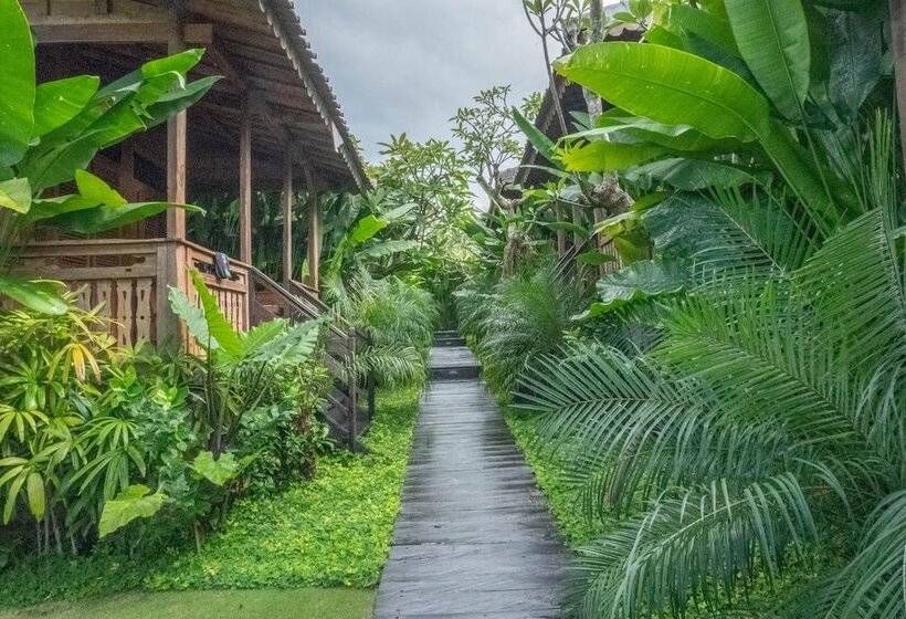 بنسيون Bajalo Cottage Canggu