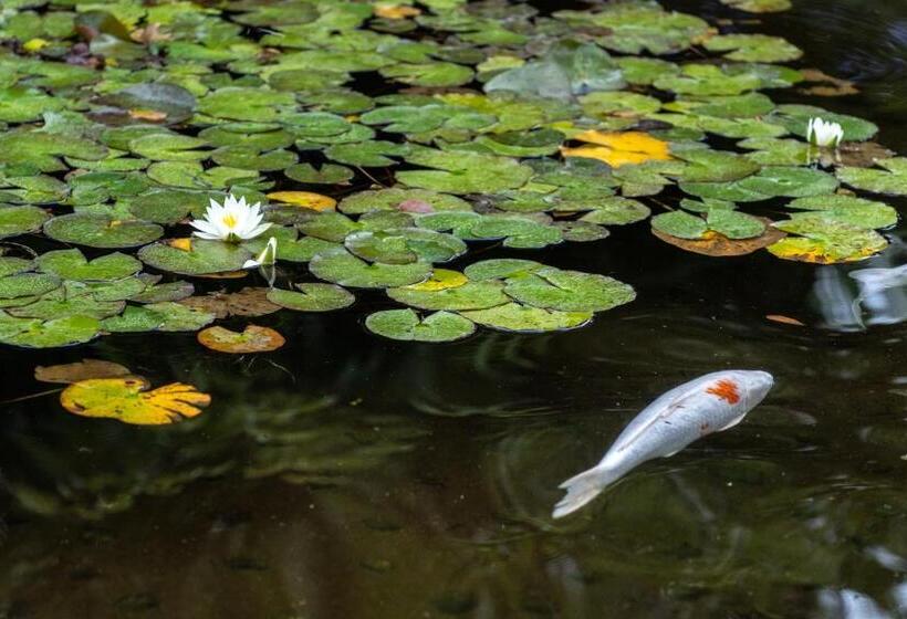 リゾートホテル 伊豆高原温泉ホテル 森の泉