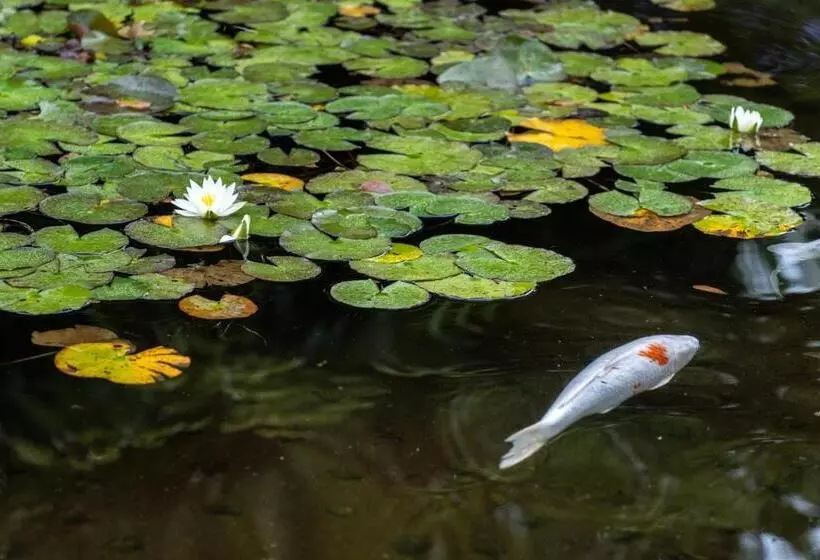 Lomakeskus 伊豆高原温泉ホテル 森の泉