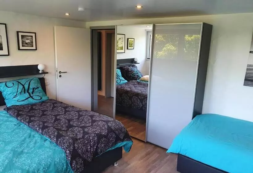 Schwarzer Kater Blankenheim