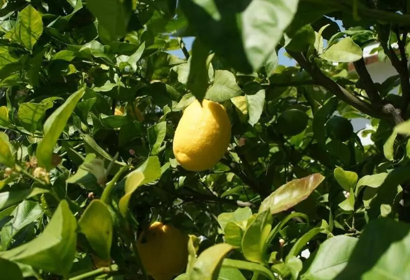 Aamiaismajoitus (B&B) Finca Mil Estrellas