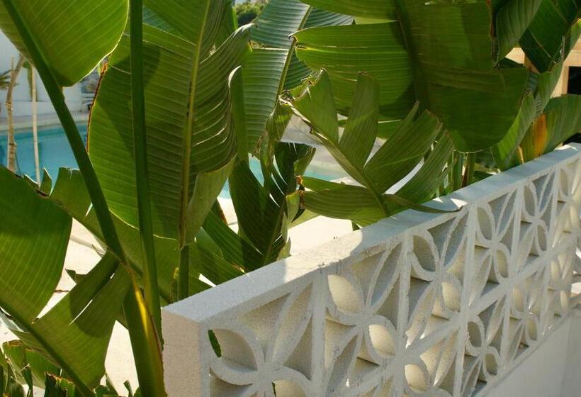 Bed and Breakfast Finca Mil Estrellas