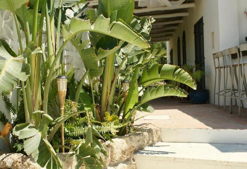 Bed and Breakfast Finca Mil Estrellas