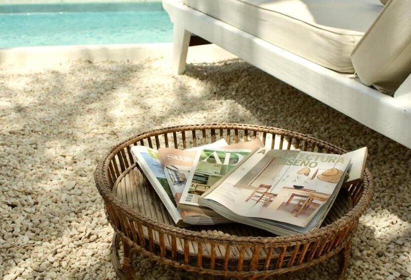 Bed and Breakfast Finca Mil Estrellas