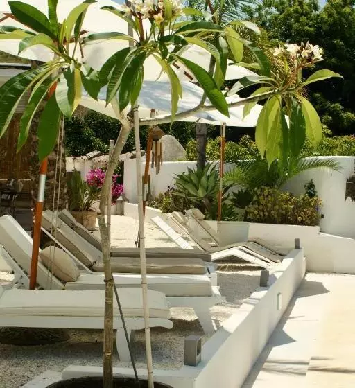 Aamiaismajoitus (B&B) Finca Mil Estrellas