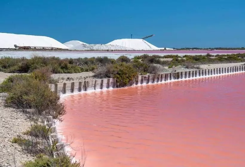 Duplex Centre Ville   50m De La Plage   Clim   Garage   Netflix