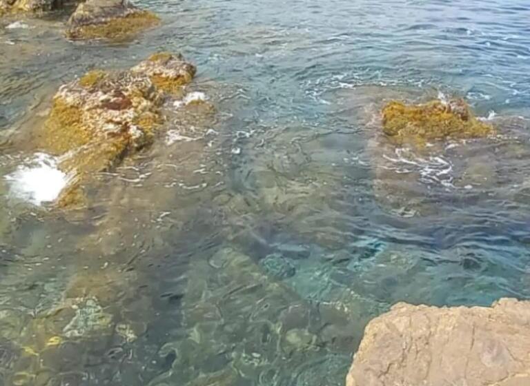 호텔 Agriturismo La Tuffatrice