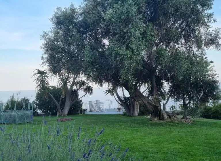 هتل Agriturismo La Tuffatrice