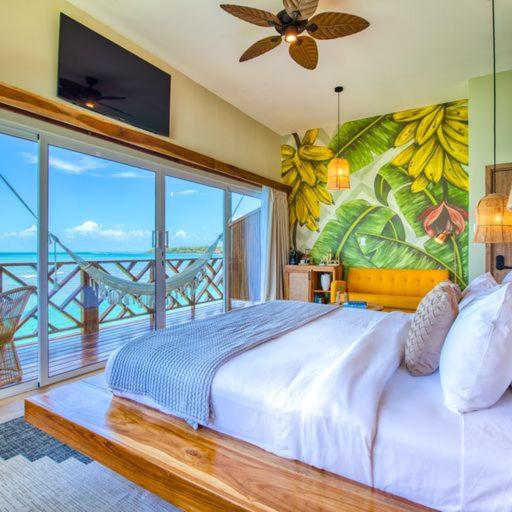 فندق صغير Bambuda Bocas Town