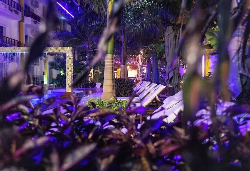 Canary Nungwi Hotel & Restaurant