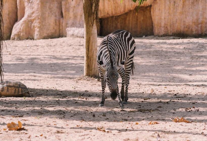 ホテル Gdas Bali Health And Wellness Resort