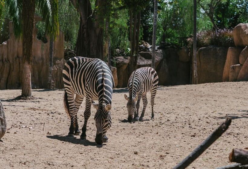 ホテル Gdas Bali Health And Wellness Resort