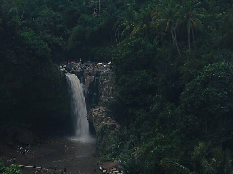 ホテル Gdas Bali Health And Wellness Resort