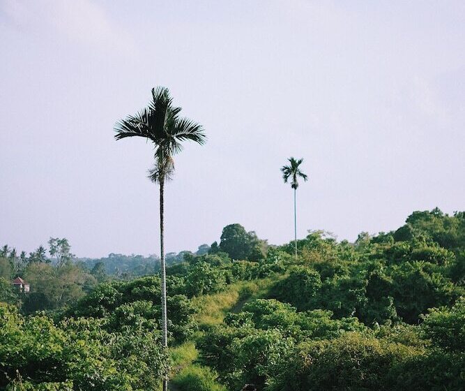 ホテル Gdas Bali Health And Wellness Resort