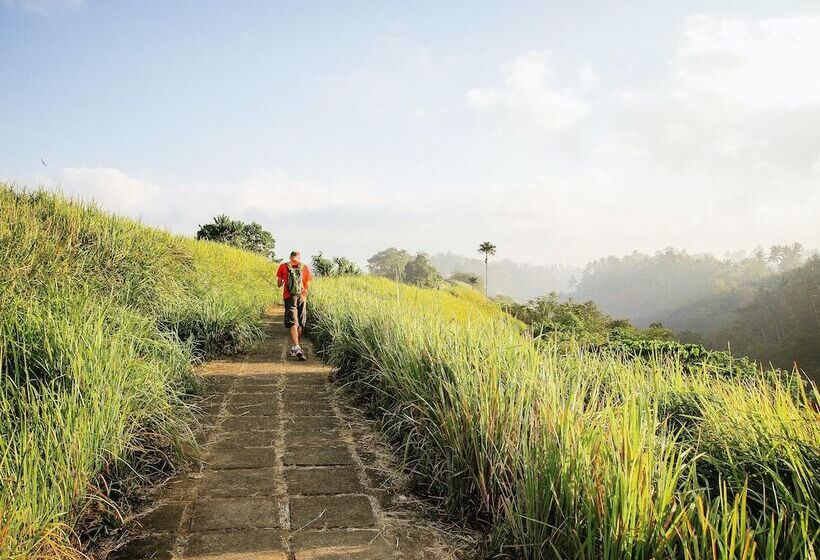 ホテル Gdas Bali Health And Wellness Resort