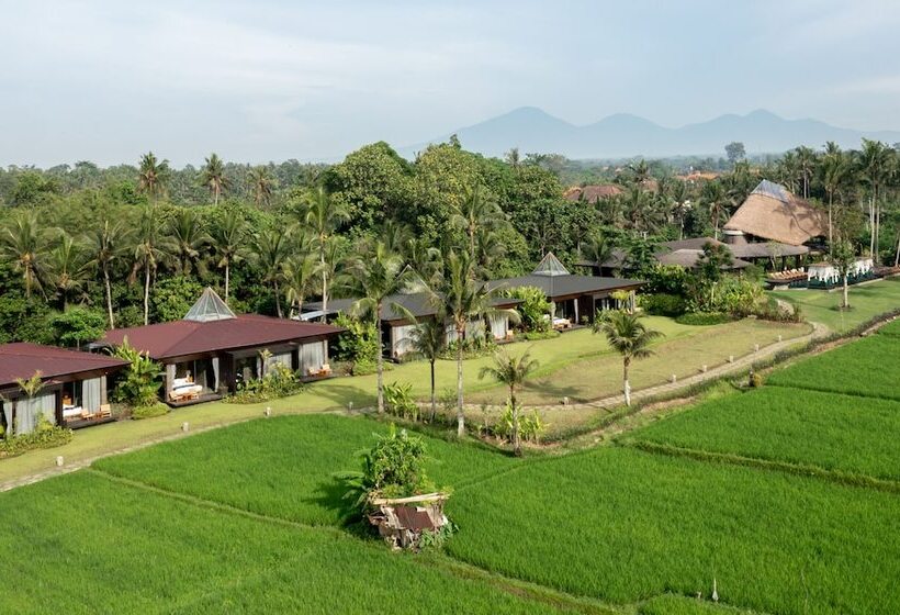 ホテル Gdas Bali Health And Wellness Resort