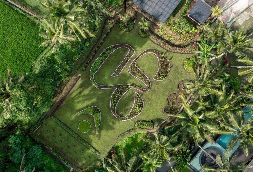 ホテル Gdas Bali Health And Wellness Resort