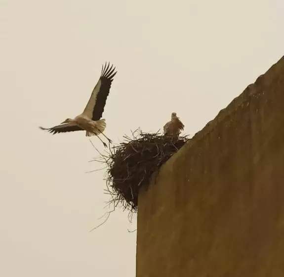 Hotelli La Posada Del Tiétar
