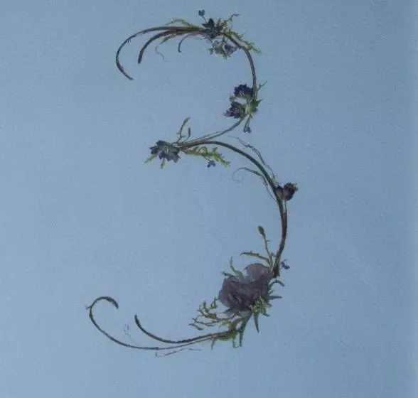 Hotelli La Posada Del Tiétar