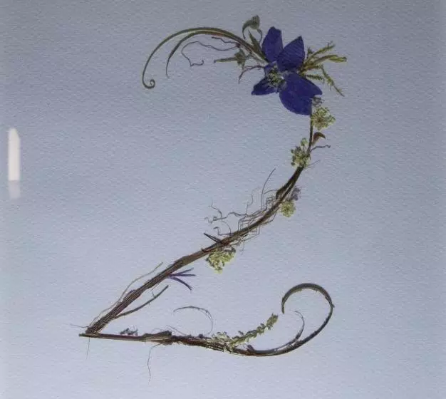 Hotelli La Posada Del Tiétar