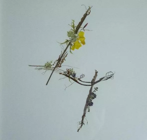 Hotelli La Posada Del Tiétar