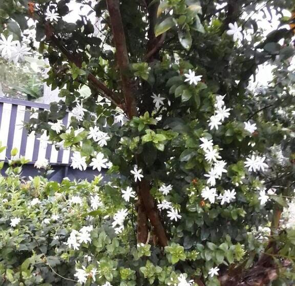 فندق Villa Delorenta